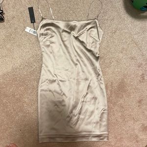 Brand new Ten by Babaton Satin mini slip dress(passion)